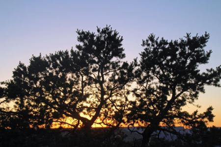 Sunset.jpg