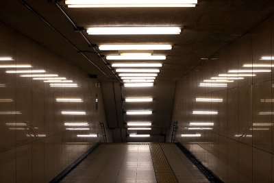 800px-Fluorescent_lamps_artistic.jpg