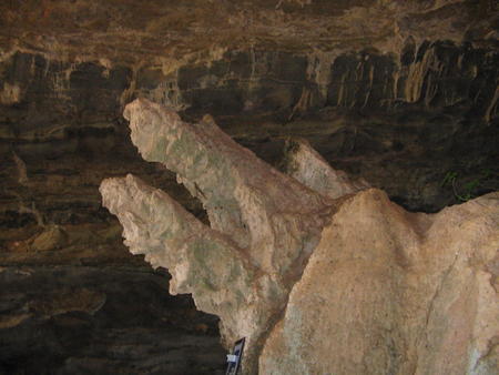 IMG_1064.jpg