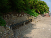 P1000918.png