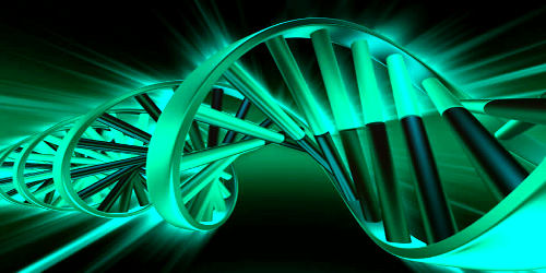 XX-Factor_DNA_Title_Image.jpg