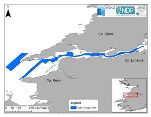 The Shannon Estuary..jpg