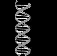 DNA_structure.jpg