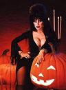 elvira-pumpkin_3.jpg