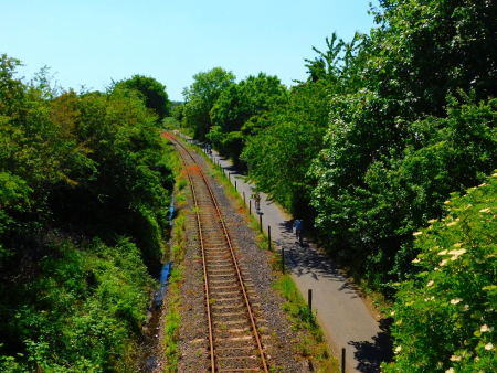 DSCN5817.jpg