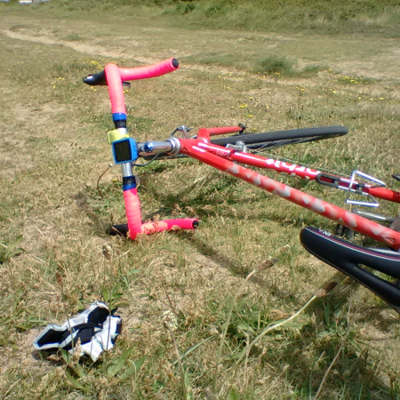 IMG_20200516_125639.jpg