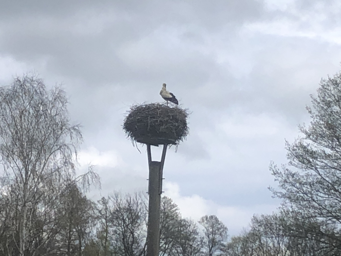 IMG_3611.JPEG