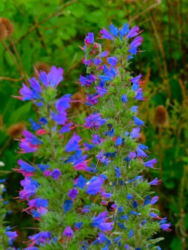 DSCN6305.jpg