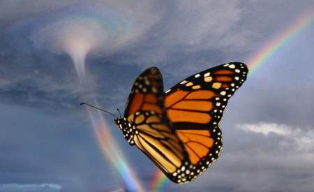 butterfly tornado.png