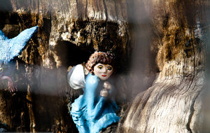 elfin oak.png